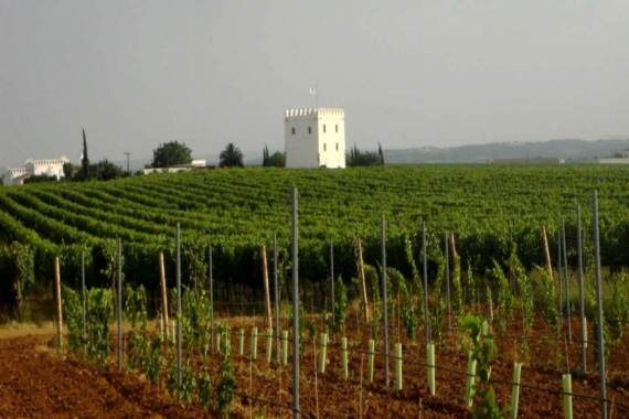 Tower of Esporão, dating from the year 1267, Alentejo, Portugal